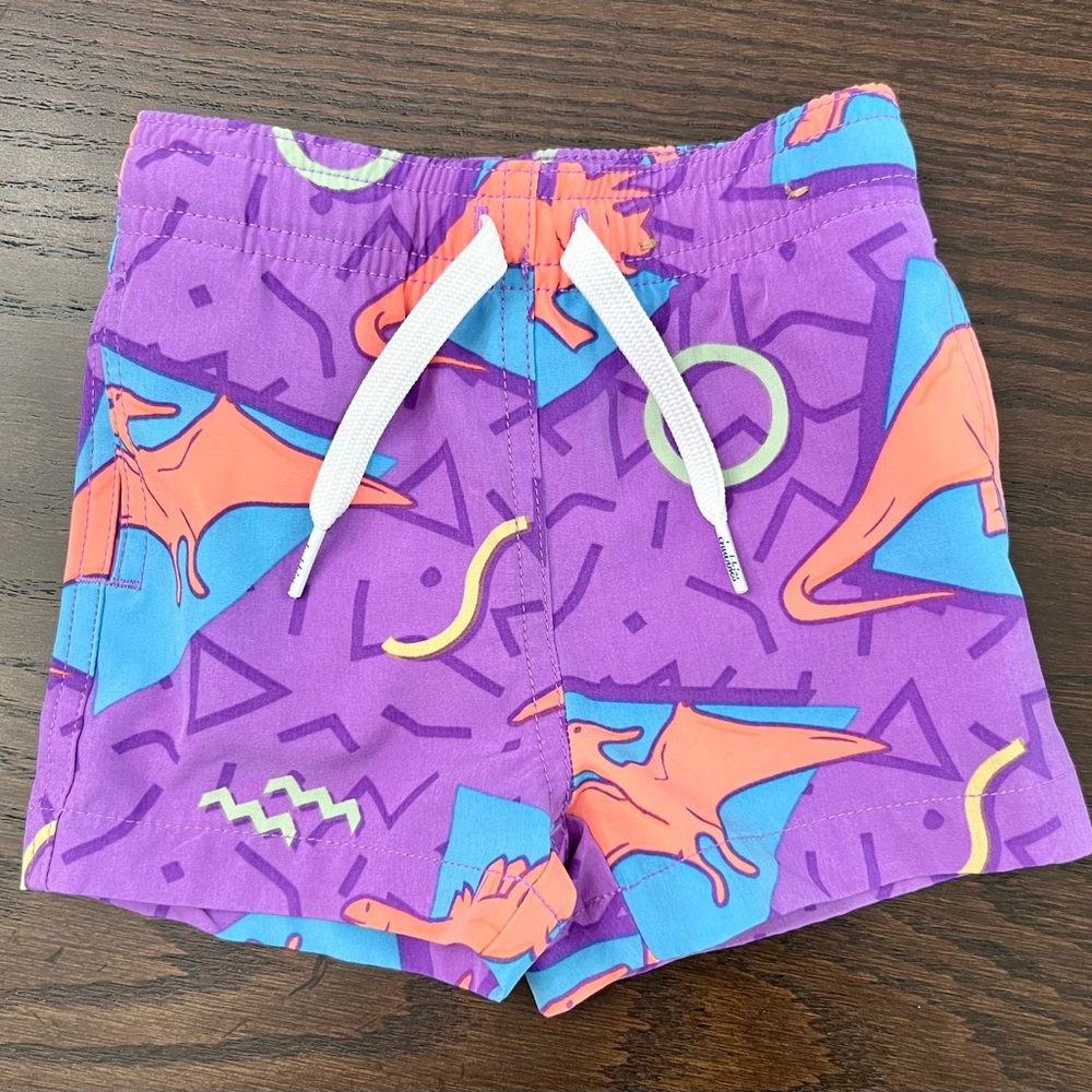 Chubbies Purple Dinosaur Print Boys Swim Trunks